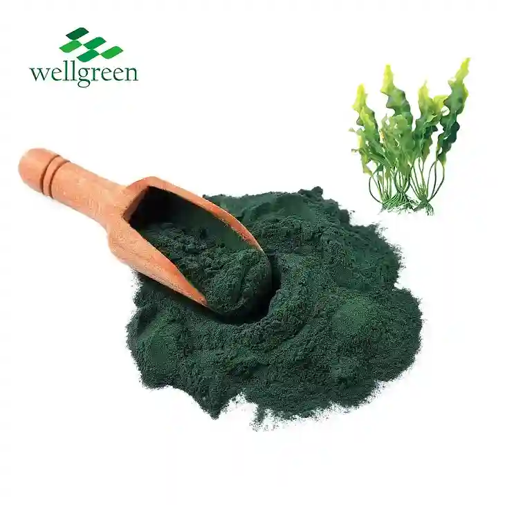 Spirulina Powder